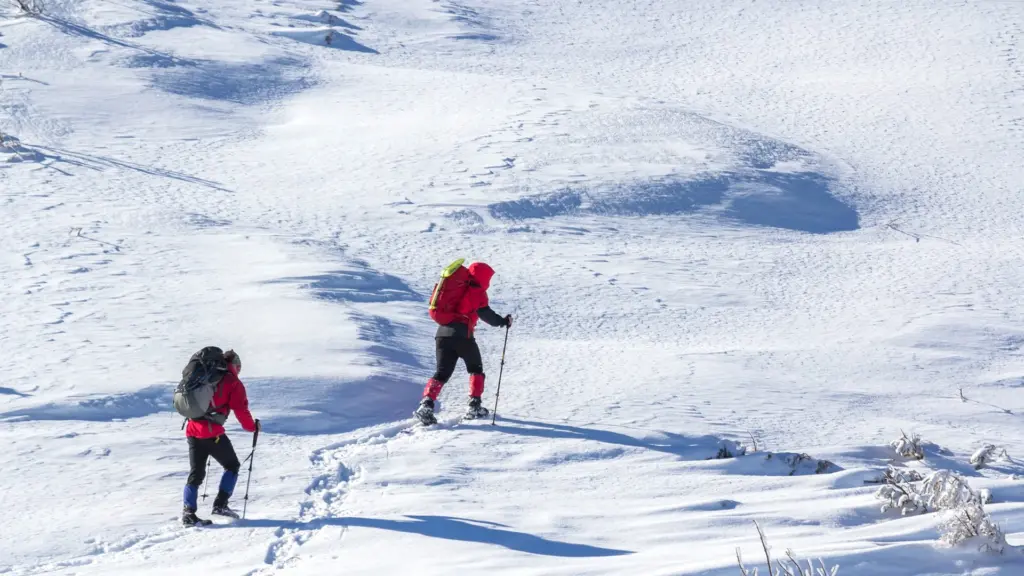 SSTT Skischule Tuxertal Schneeschuhwandern Guide